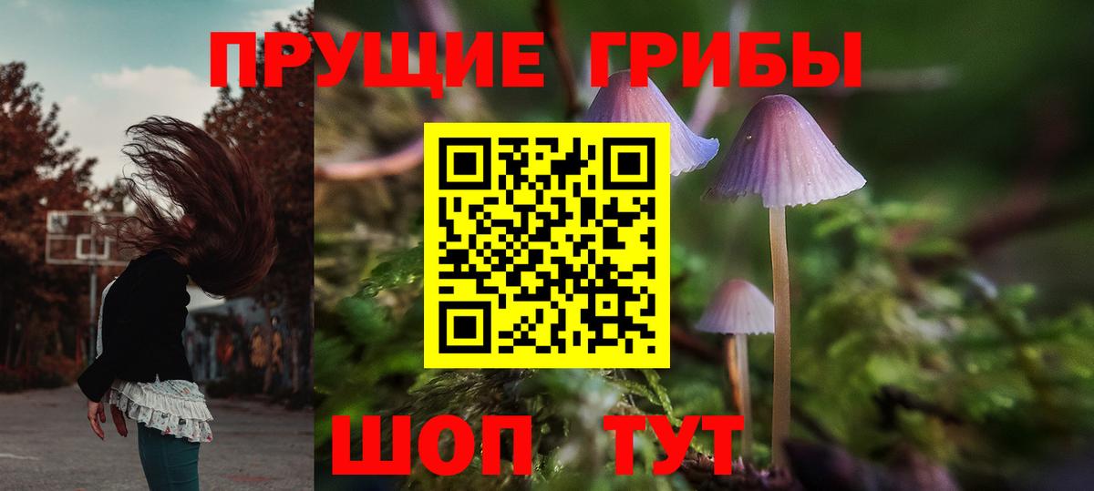 Псилоцибиновые грибы мицелий Новороссийск