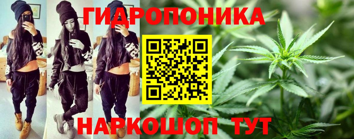 Марихуана VHQ  Вход с VPN  Бошки марихуана LSD WEED  Новороссийск  Марихуана MAZAR  Каннабис VHQ 